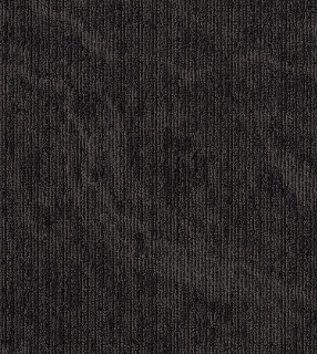 Picture of Philadelphia Commercial by Shaw - Inked Black Carbon