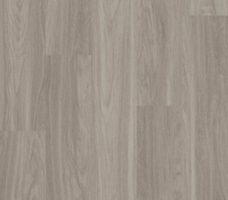 Picture of Philadelphia Commercial by Shaw - Indwell 20 Shadow