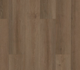 Picture of Philadelphia Commercial by Shaw - Indwell 20 Texas Bur