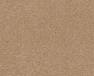 Picture of Philadelphia Commercial by Shaw - Emphatic II 36 Blondwood