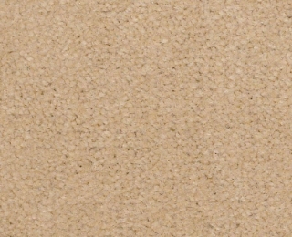 Picture of Philadelphia Commercial by Shaw - Emphatic II 36 Candlewick