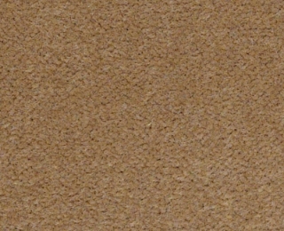 Picture of Philadelphia Commercial by Shaw - Emphatic II 36 Straw Market