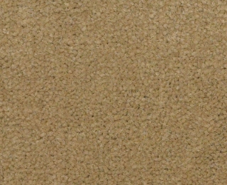 Picture of Philadelphia Commercial by Shaw - Emphatic II 36 Butterscotch