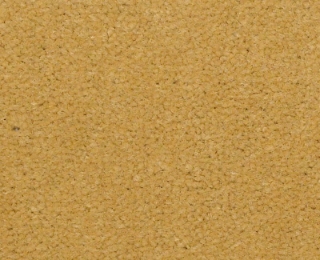 Picture of Philadelphia Commercial by Shaw - Emphatic II 36 Sunflower