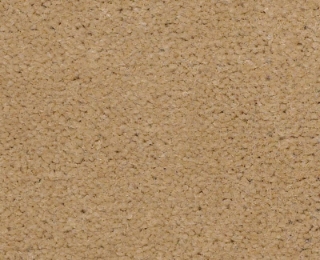 Picture of Philadelphia Commercial by Shaw - Emphatic II 36 South Beach