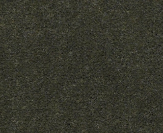 Picture of Philadelphia Commercial by Shaw - Emphatic II 36 Thyme