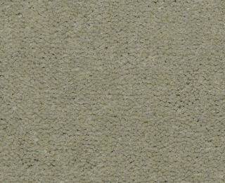 Picture of Philadelphia Commercial by Shaw - Emphatic II 36 Dew Green