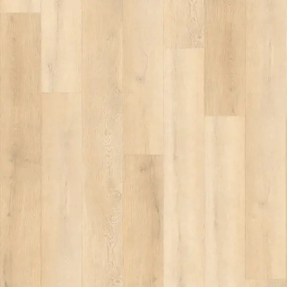 Picture of Stanton - Bristol Point Parchment