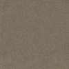 Picture of Shaw Floors - TruSplendor Truffle