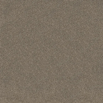 Picture of Shaw Floors - TruSplendor Truffle