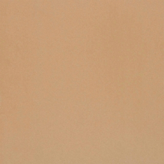 Picture of Alfagres - Quarry Smooth 12 x 12 Sahara