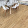 Picture of Shaw Floors - Oak Grove Hazelwood