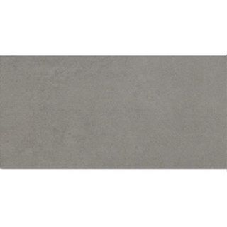 Picture of Roca - Downtown 12 x 24 Marengo