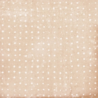 Picture of MiR Mosaic - Catalina Sand Dot