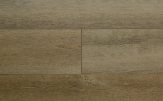 Picture of Audacity - Astonish Canyon