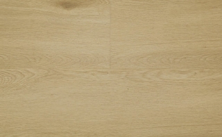 Picture of Audacity - Astonish Cypress