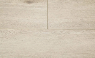 Picture of Audacity - Astonish Heartland