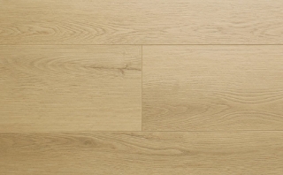 Picture of Audacity - Astonish Marshland