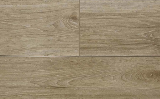 Picture of Audacity - Elegance Edinburgh