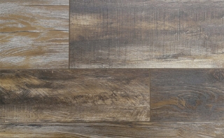 Picture of Audacity - Monticello Cache