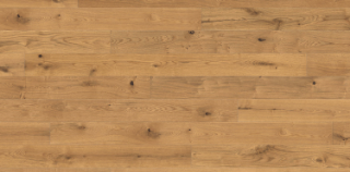 Picture of Haro - Maxim Sauvage