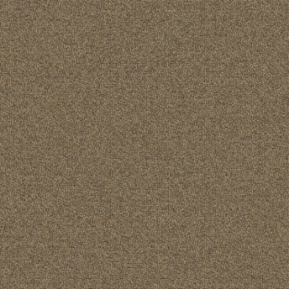 Picture of Mohawk Group - New Basics III Tile Biscotti Crunch