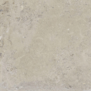 Picture of Happy Floors - Coralina 24 x 24 Beige