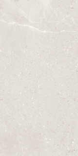 Picture of Eleganza Tiles - Monza 24 x 48 Spring