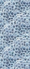 Picture of Bisazza Mosaico - Decori 10 - Dalia Blu Dalia Blu