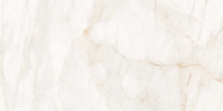 Picture of Roca - Marble Dolomita 24 x 48 Dolomita 9mm