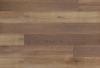 Picture of Silent Blue - Blue Armor Forged Brown