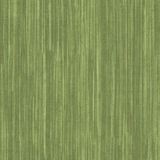 Picture of Shaw Contract - Colorlink 2.5 Greentint