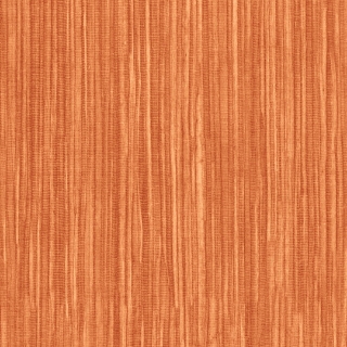 Picture of Shaw Contract - Colorlink 5.0 Zest