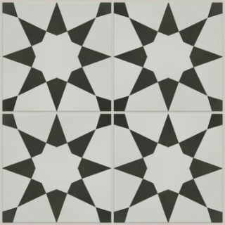 Picture of Shaw Builder - Resurgence Josefina Onyx