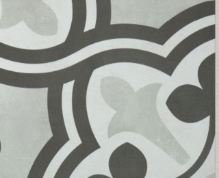 Picture of Shaw Builder - TB Resurgence Aurora Opal