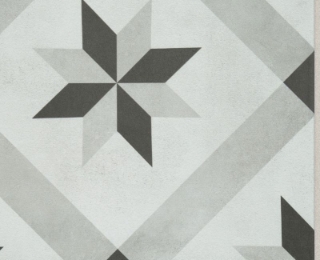 Picture of Shaw Builder - TB Resurgence Maria Opal