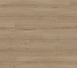 Picture of Aquashield - Estate Ca' D'Zan