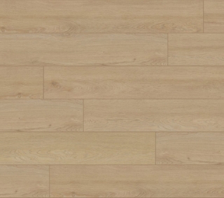 Picture of Aquashield - Estate Breakers