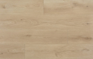 Picture of Aquashield - Estate Vizcaya