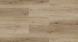 Picture of Aquashield - XL Trunk Bay