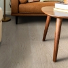 Picture of Shaw Builder - Homestead Shell Taupe