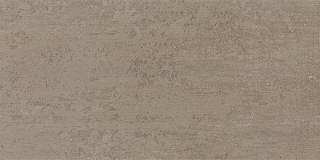Picture of American Olean - Theoretical Evolved 12 x 24 Textured Hibernate Brown