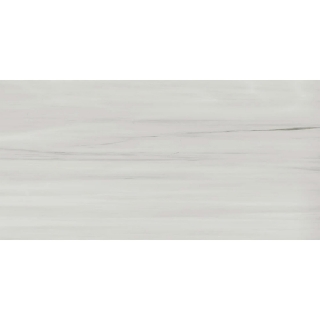 Picture of Atlas Concorde - Beyond Dolomite 24 x 48 Polished Gray