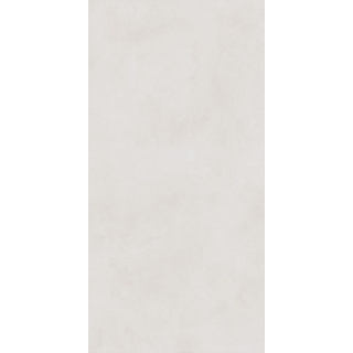 Picture of Roca - Pro 24 x 48 Polished Ivory