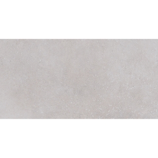 Picture of Roca - Pro Max 12 x 24 Matte ABS Cement