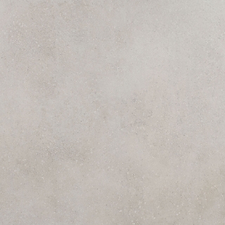 Picture of Roca - Pro Max 24 x 24 Matte Nude