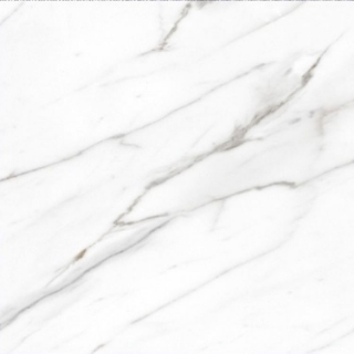 Picture of Elysium - AGL 24 x 24 Polished Carrara