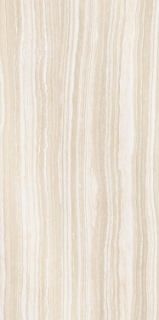 Picture of Elysium - Albani 12 x 24 Ivory