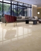 Picture of Elysium - Appia 24 x 48 Polished Cross Cut Beige