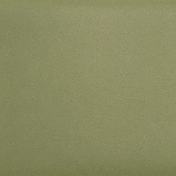 Picture of Daltile - Natural Hues 2.25 x 8 Artichoke